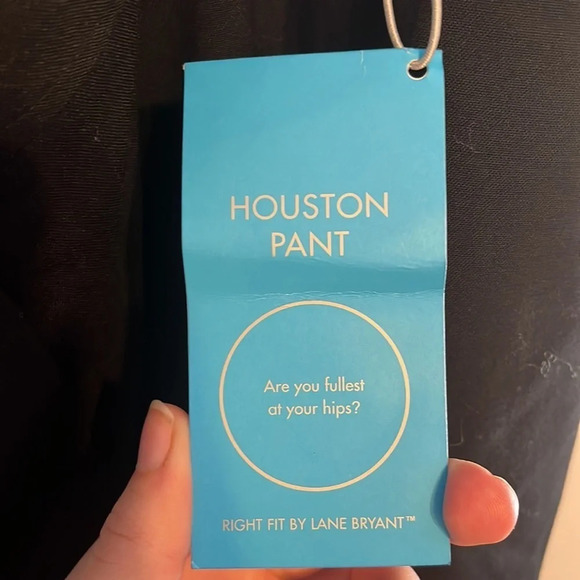 Lane Bryant  pants - Picture 8 of 8